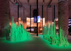 مؤسسة دبي للمستقبل تشارك في مشروع عالمي مبتكر لقياس أثر تبريد الأشجار في دبي وعدة مدن عالمية