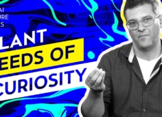 David Delgado: Plant Seeds of Curiosity