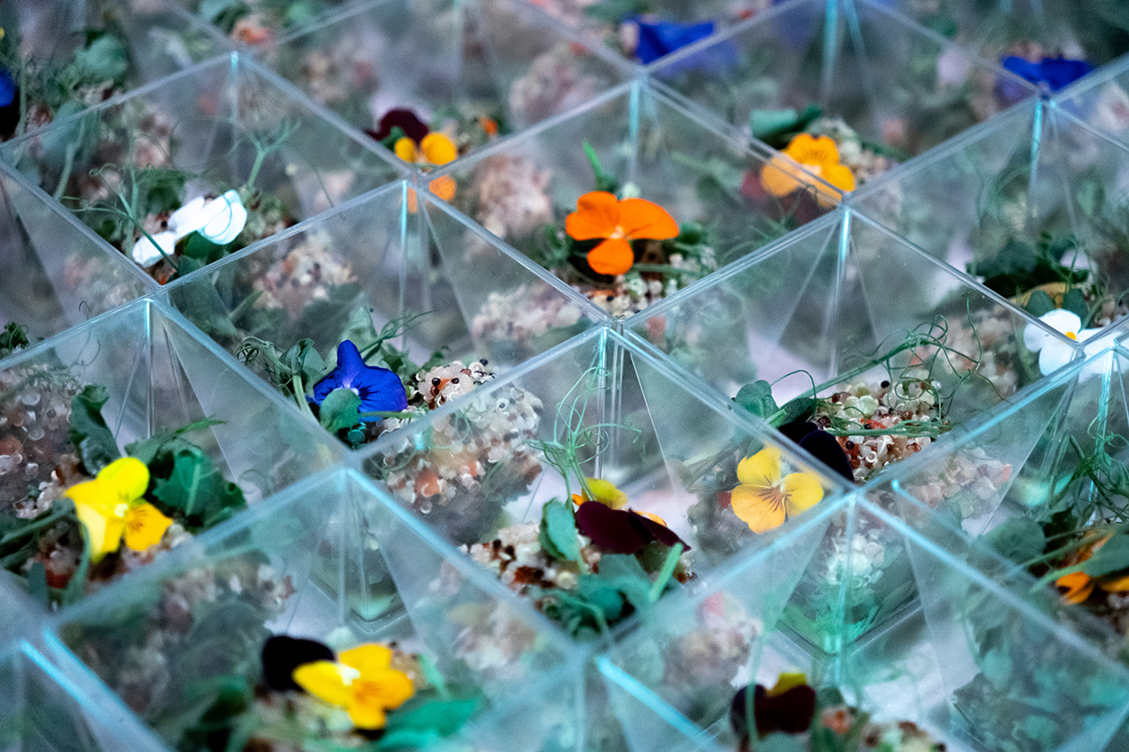 Future Sampling 2025